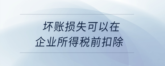 壞賬損失可以在企業(yè)所得稅前扣除？