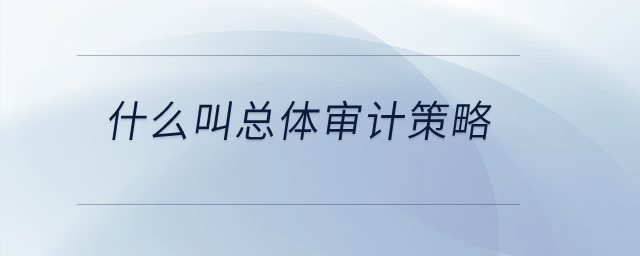 什么叫總體審計(jì)策略？