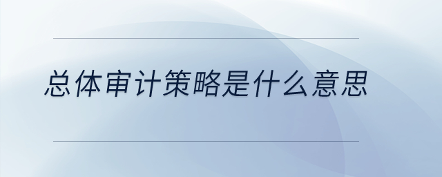 總體審計策略是什么意思？