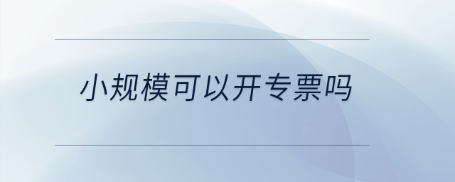 小規(guī)?？梢蚤_專票嗎？