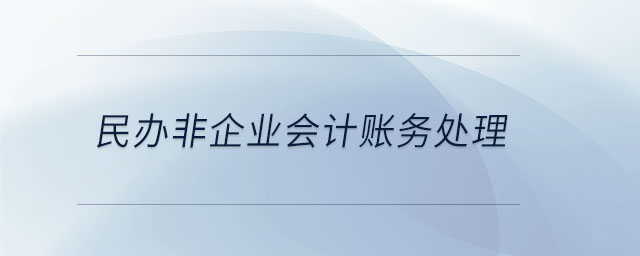 民辦非企業(yè)會(huì)計(jì)賬務(wù)處理