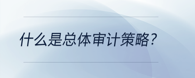 什么是總體審計策略？