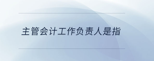 主管會(huì)計(jì)工作負(fù)責(zé)人是指