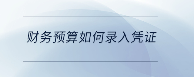 財(cái)務(wù)預(yù)算如何錄入憑證？