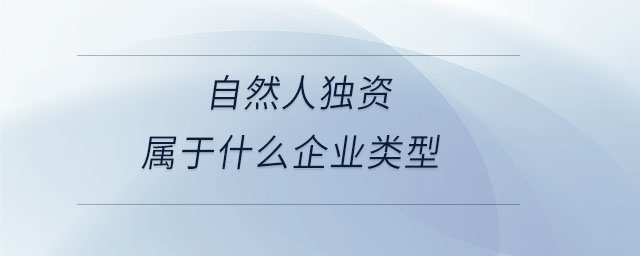 自然人獨資屬于什么企業(yè)類型
