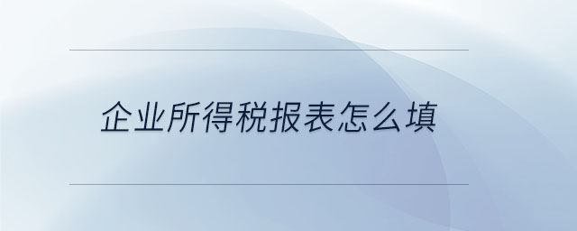 企業(yè)所得稅報表怎么填