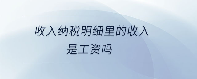 收入納稅明細里的收入是工資嗎