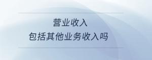 營業(yè)收入包括其他業(yè)務收入嗎