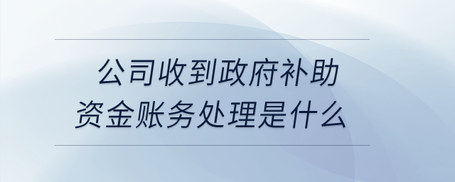 公司收到政府補助資金賬務處理是什么？