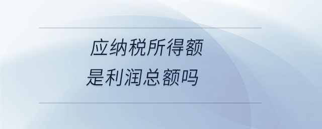 應(yīng)納稅所得額是利潤總額嗎