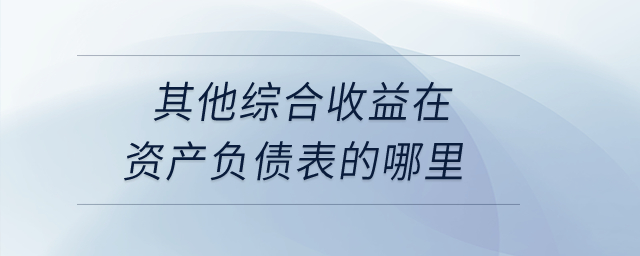 其他綜合收益在資產(chǎn)負(fù)債表的哪里？
