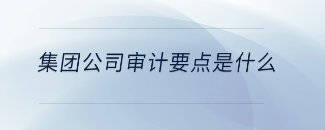 集團公司審計要點是什么？
