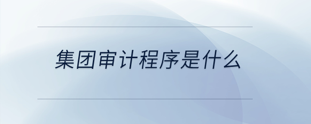 集團(tuán)審計(jì)程序是什么？