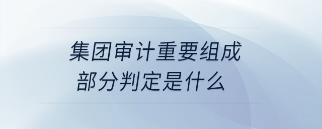 集團(tuán)審計(jì)重要組成部分判定是什么？