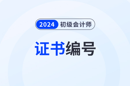 初級(jí)會(huì)計(jì)師證書編號(hào)和管理號(hào)查詢