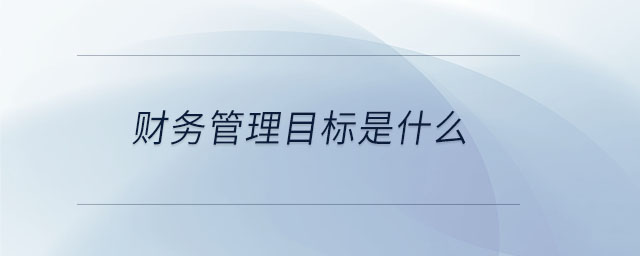 財務(wù)管理目標(biāo)是什么