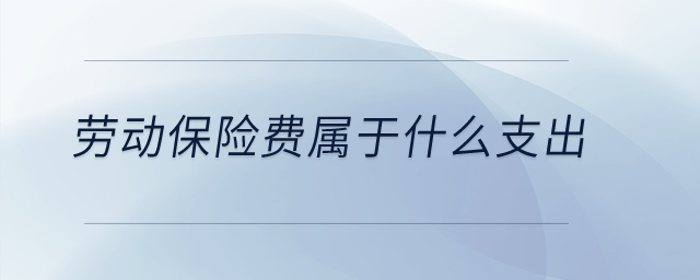 勞動保險費(fèi)屬于什么支出？