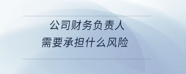 公司財務(wù)負責(zé)人需要承擔(dān)什么風(fēng)險