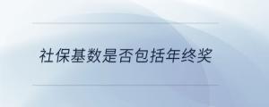 社?；鶖?shù)是否包括年終獎(jiǎng)