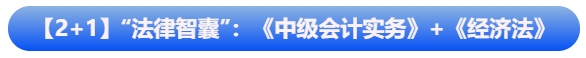 【2+1】“法律智囊”組合：《中級會計(jì)實(shí)務(wù)》+《經(jīng)濟(jì)法》