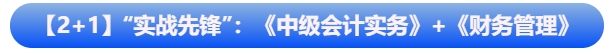 【2+1】“實(shí)戰(zhàn)先鋒”組合：《中級會計(jì)實(shí)務(wù)》+《財(cái)務(wù)管理》