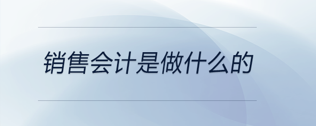 銷售會計(jì)是做什么的