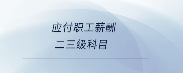 應付職工薪酬二三級科目