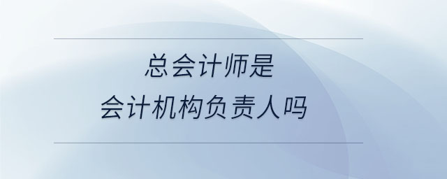 總會計師是會計機構(gòu)負(fù)責(zé)人嗎