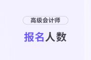 山東濟寧2024年高級會計師考試報名人數(shù)321人