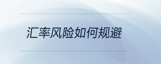 匯率風險如何規(guī)避