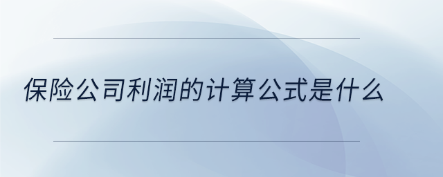 保險(xiǎn)公司利潤(rùn)的計(jì)算公式是什么