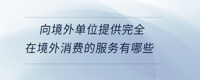向境外單位提供完全在境外消費(fèi)的服務(wù)有哪些