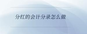 分紅的會計分錄怎么做