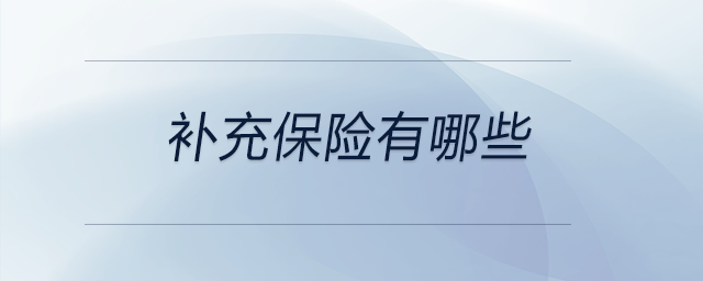 補(bǔ)充保險(xiǎn)有哪些