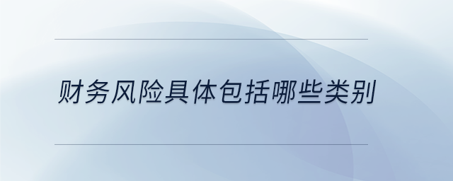 財務(wù)風(fēng)險具體包括哪些類別