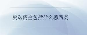 流動(dòng)資金包括什么哪四類