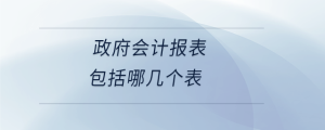 政府會計(jì)報(bào)表包括哪幾個(gè)表