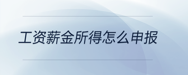 工資薪金所得怎么申報(bào)