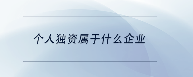 中級會計個人獨資屬于什么企業(yè)