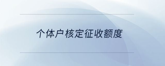 個(gè)體戶(hù)核定征收額度