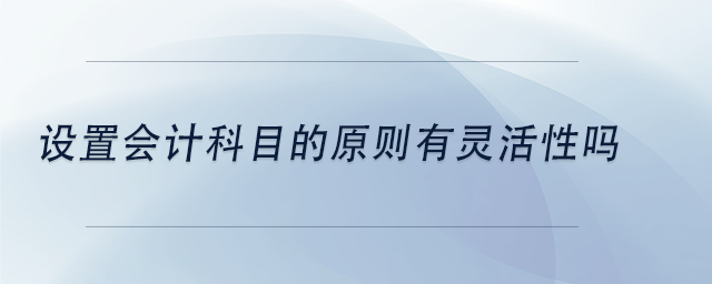 中級(jí)會(huì)計(jì)設(shè)置會(huì)計(jì)科目的原則有靈活性嗎
