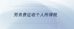 勞務(wù)費(fèi)征收個人所得稅