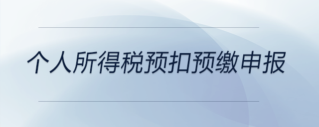 個(gè)人所得稅預(yù)扣預(yù)繳申報(bào)