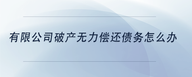 中級會計(jì)有限公司破產(chǎn)無力償還債務(wù)怎么辦
