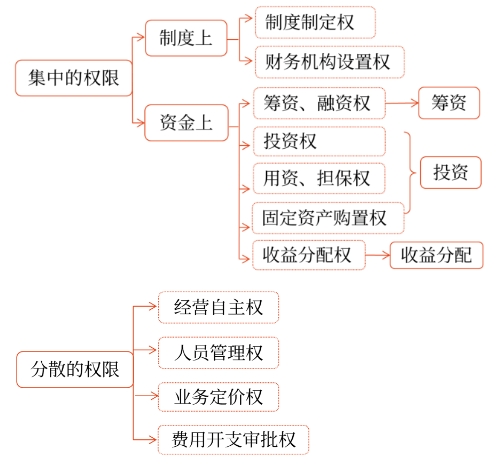 中級會計集權(quán)與分權(quán)相結(jié)合型財務(wù)管理體制的實踐