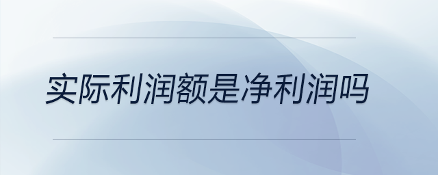實(shí)際利潤額是凈利潤嗎