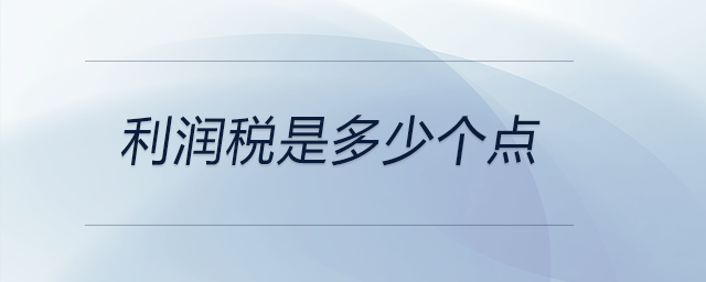 利潤(rùn)稅是多少個(gè)點(diǎn)