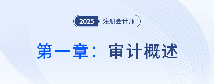 第一章審計概述_2025年注會審計搶學(xué)記憶樹