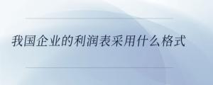 我國(guó)企業(yè)的利潤(rùn)表采用什么格式