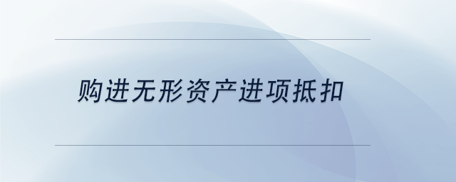 中級(jí)會(huì)計(jì)購(gòu)進(jìn)無形資產(chǎn)進(jìn)項(xiàng)抵扣